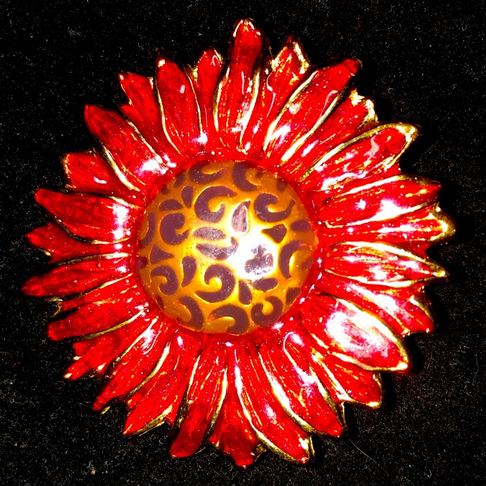 Sunflower eyeglasses holder NWOT
